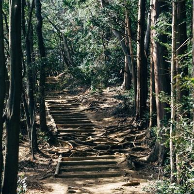 日日顺物流：物资运输线就是生命保障线