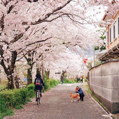 银发经济 市场广阔（大数据观察）