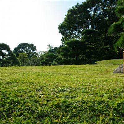 年货好又全 欢喜过龙年——第二届北京新发地年货节扫描