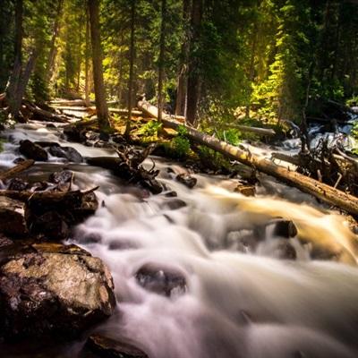 重庆缙云山突发山火 火势得到初步控制