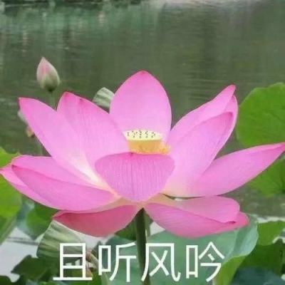 医保药品目录品种范围实现全国基本统一